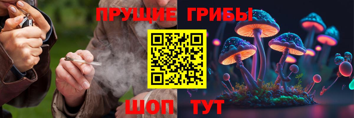 Псилоцибиновые грибы ЛСД  Галлюциногенные грибы Psilocybe  Приморско-Ахтарск  Вход с VPN 